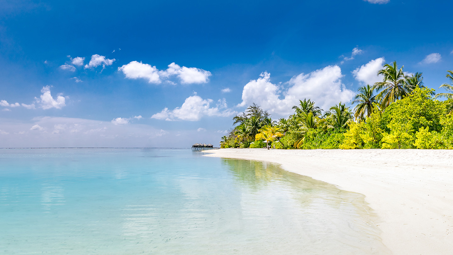 Tropical Beach Private Residence Winner's Choice for 4 - Image 3