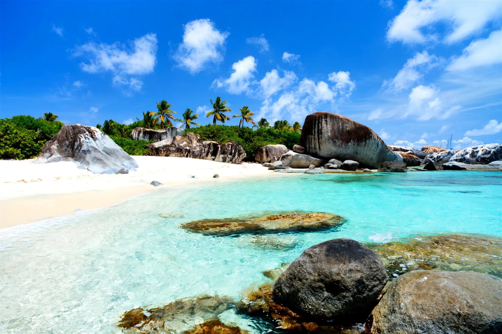 Blissful BVI for 6