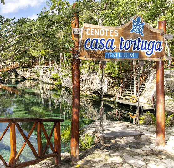 Jungle Lux in Turquoise Tulum for 4