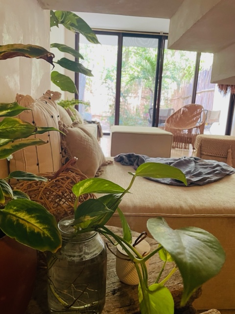 Jungle Lux in Turquoise Tulum for 4