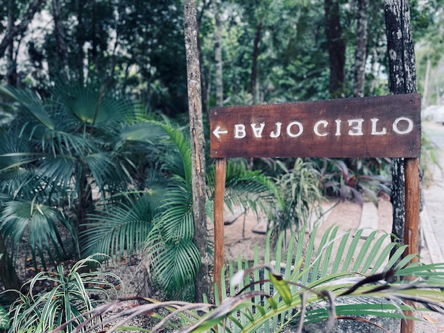 Jungle Lux in Turquoise Tulum for 4 - Image 15