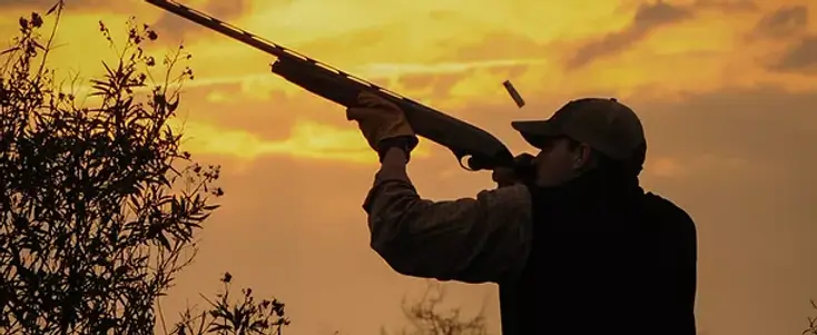 Argentina Dove Hunt for 4