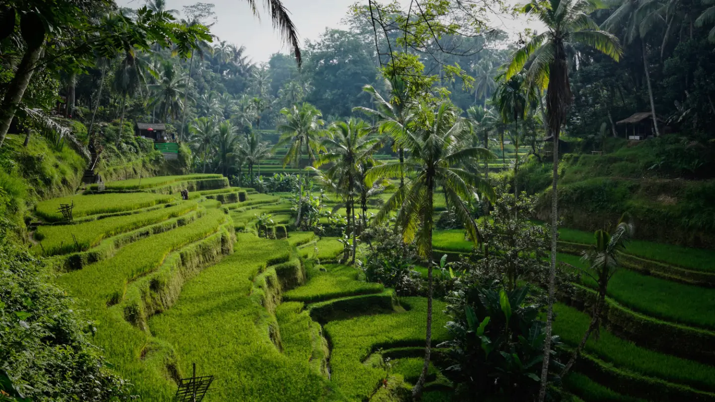 Bali Luxury for 8 - Image 4