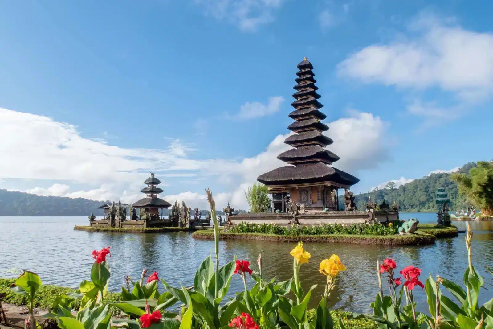 Bali Luxury for 8 - Image 6