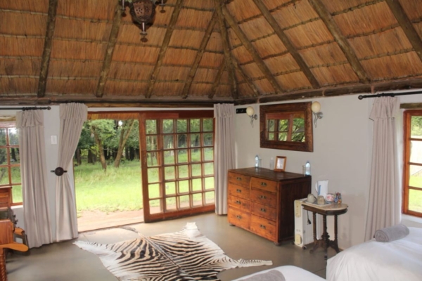 South Africa Starter Hunt for 2