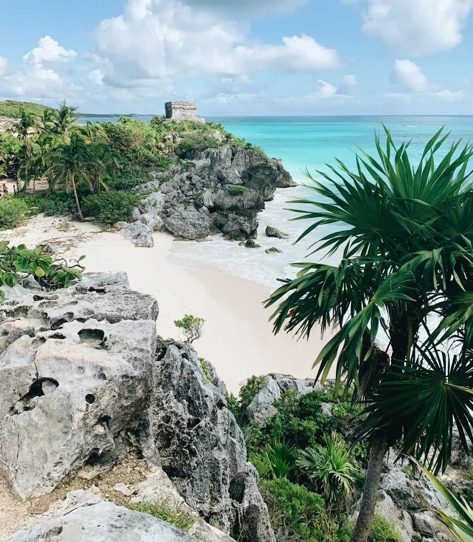 Jungle Lux in Turquoise Tulum for 4 - Image 9