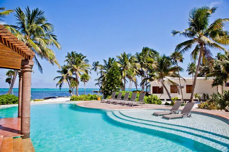Infinity pool at a luxury resort in Belize surrounded by palm trees, sun loungers, and ocean views in the background.