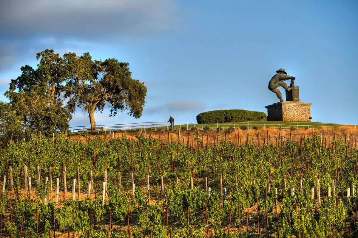 Napa Valley Railways for 2 - Image 2