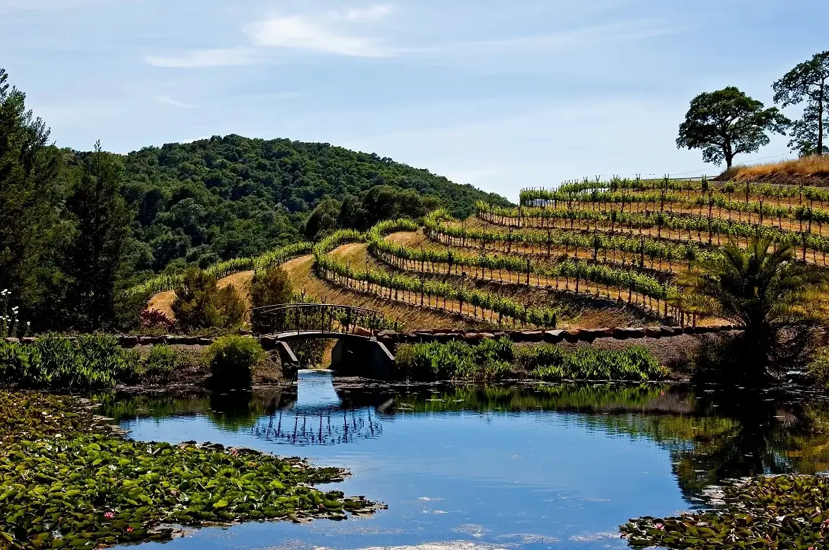 Napa Valley Railways for 2 - Image 8