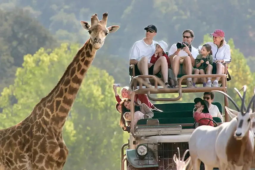 Safari Wine Experience for 2
