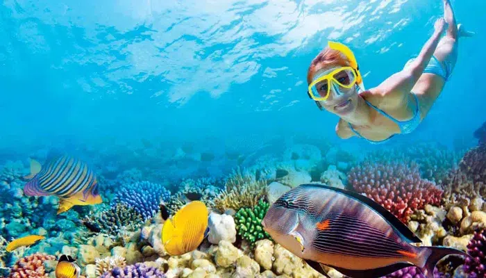 Woman snorkeling in shallow Caribbean waters off the coast of Belize, surrounded by colorful coral and exotic tropical fish.