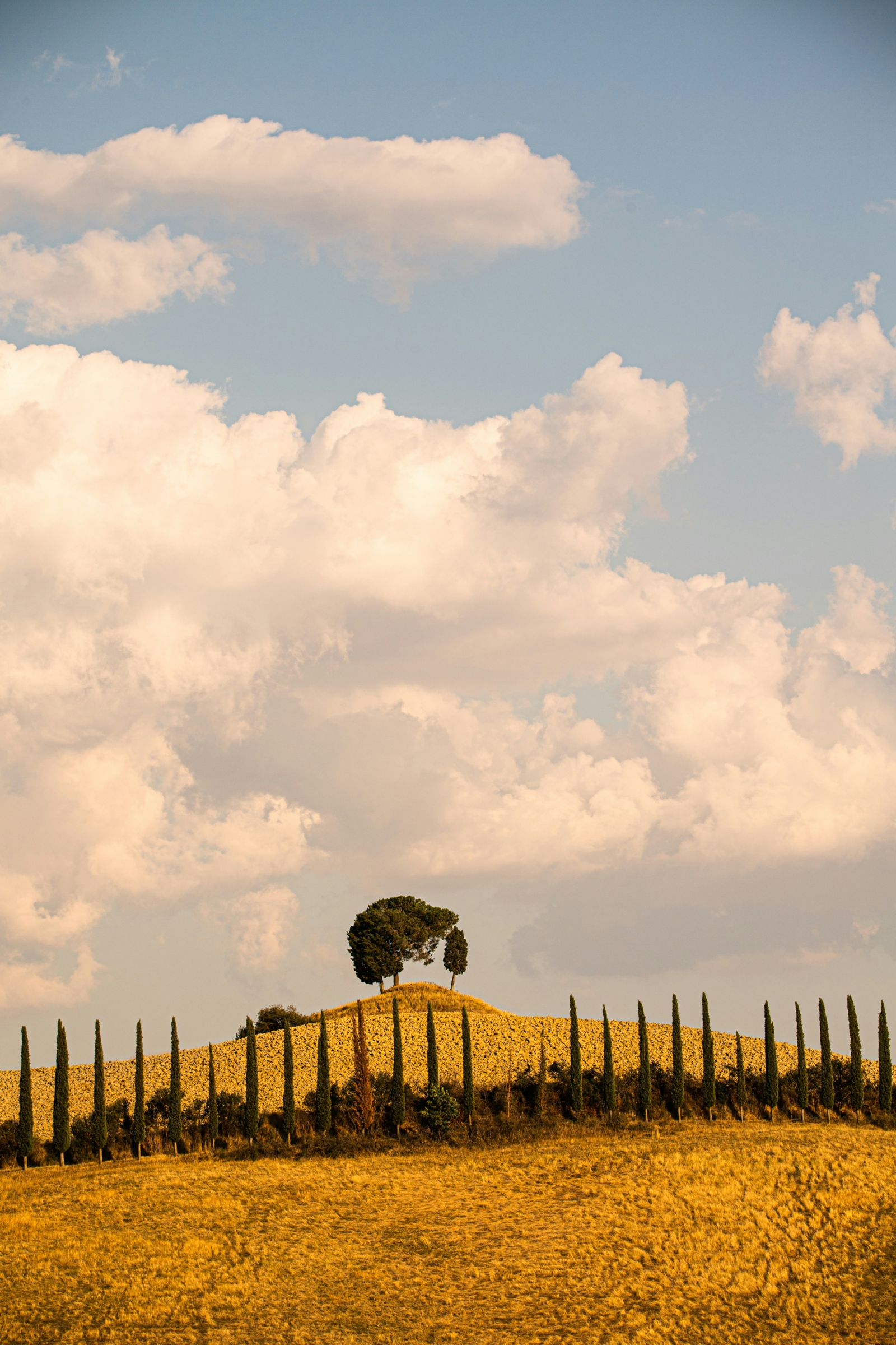 A Tuscan Dinner Party for 4 - Image 16